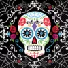 Amscan 5 in. x 5 in. Day of the Dead Beverage Napkins (36-Count, 3-Pack)