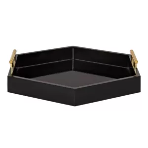 Kate and Laurel Lipton 18 in.x 18 in. Black/Gold Hexagon Decorative Tray