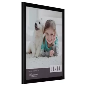 Pinnacle 6-Opening 11 in. x 14 in. Picture Frame