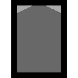 Pinnacle 4 in. x 6 in. Black Picture Frame