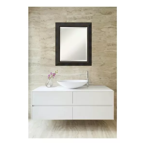 Amanti Art Signore 21 in. W x 25 in. H Framed Rectangular Bathroom Vanity Mirror in Bronze