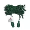HOLIDYNAMICS HOLIDAY LIGHTING SOLUTIONS 4 in. 50-Light Count 5 mm Green Spacing Dynamic RGB - Cord/RGB