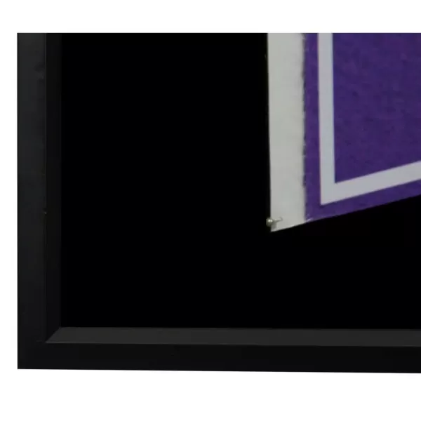Pinnacle Pennant Display Case 13.7 in. x 7.7 in. Black Picture Frame