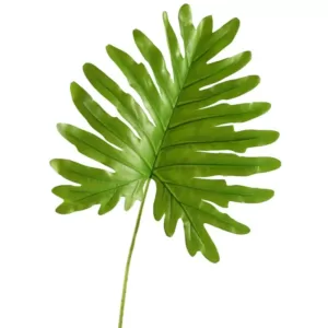 D&W Silks Indoor Jumbo Cellium Philo Leaf (Set of 3)