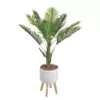 Flora Bunda 4 ft. Areca Palm in Ceramic Planter on Wood Stand