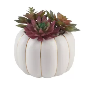 Flora Bunda 8 in. H Fall Harvest Artificial Plant Faux Succulents Garden in 6.26 in. Cream Ceramic Pumpkin Pot with Gold Line