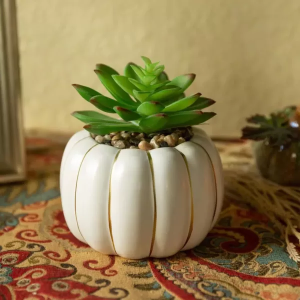 Flora Bunda 5 in. H Fall Harvest Artificial Plant Green Faux Succulent in 4 in. Cream Ceramic Pumpkin Pot with Gold Line
