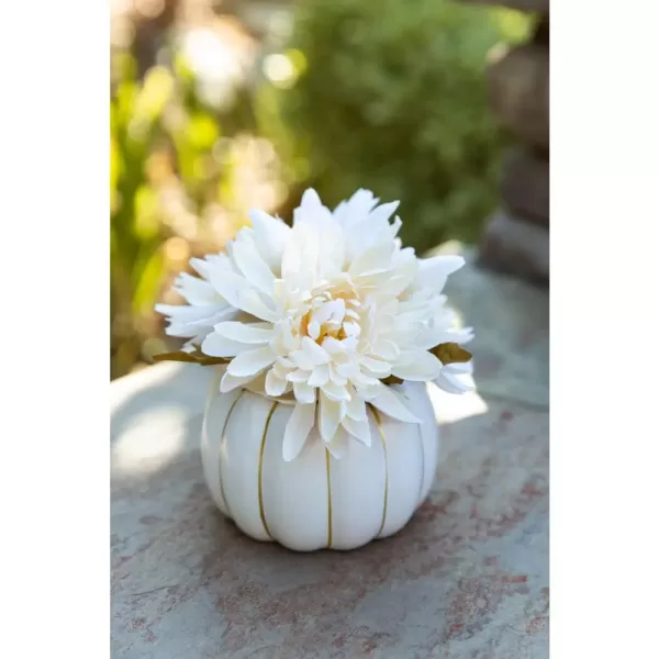 Flora Bunda 5 in. H Fall Harvest Artificial Plant Cream White Faux Mums in 4 in. Cream Ceramic Pumpkin Pot with Gold Line
