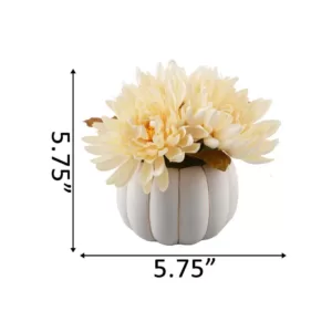 Flora Bunda 5 in. H Fall Harvest Artificial Plant Cream White Faux Mums in 4 in. Cream Ceramic Pumpkin Pot with Gold Line