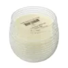 A & B Home 3.5 in. Dia. Gold Foil Earl Grey Scented Soy Wax Candle