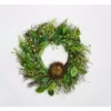 Worth Imports 24 in. Green Leaves Berries and Nest Wreath on Natural Twig Base