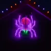 Haunted Hill Farm 48 in. x 40 in. Creepy Crawling Spider Indoor/Outdoor LED Halloween Window Light