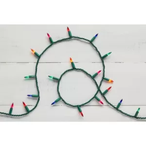 Home Accents Holiday 300 Light STS Multi-Color Heavy Duty Light String (Set of 2)