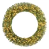 Home Accents Holiday 60 in. Wesley Pre-Lit Long Needle Pine Artificial Christmas Wreath with 498-mixed tips and 240 Warm White Lights