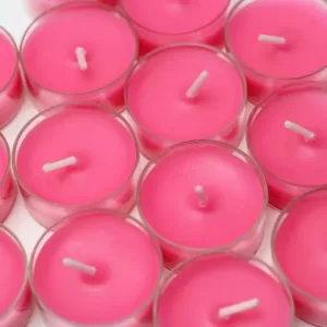 Zest Candle 1.5 in. Hot Pink Tealight Candles (50-Pack)