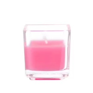 Zest Candle 2 in. Hot Pink Square Glass Votive Candles (12-Box)
