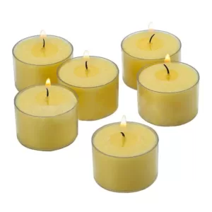 Light In The Dark Ivory Unscented Tealight Candles with Clear Cups (Set of 36)