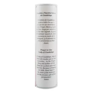 Stonebriar Collection 8 in. Virgin of Guadalupe LED Prayer Candle