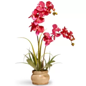 National Tree Company 24 in. Pink Orchid in Ceramic Pot