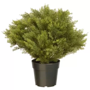 National Tree Company 24 in. Globe Juniper with Green Pot