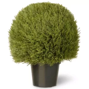 National Tree Company 24 in. Cedar Pine Topiary with Round Green Growers Pot with 100 Clear Lights