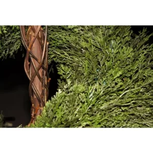 National Tree Company 4 ft. Upright Juniper Slim Spiral Tree with Artificial Natural Trunk in Green Round Growers Pot
