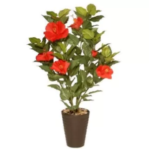 National Tree Company 22 in. Potted Hibiscus Plant