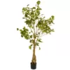 National Tree Company 4.20 ft. Ginkgo Potted Tree