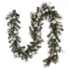 National Tree Company 9 ft. Frosted Garland with 70 Clear Lights and Silver Balls
