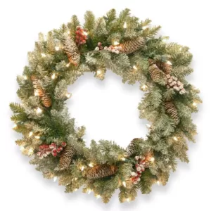 National Tree Company Dunhill Fir 30 in. Artificial Wreath with Clear Lights