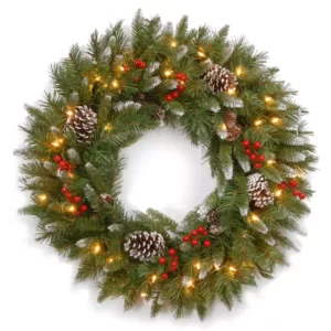 National Tree Company Frosted Berry 24 in. Artificial Wreath with Clear Lights