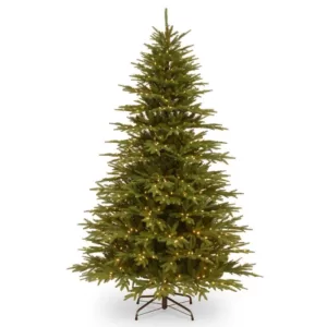 National Tree Company 7.7 ft. Monterey Fir Tree with Clear Lights