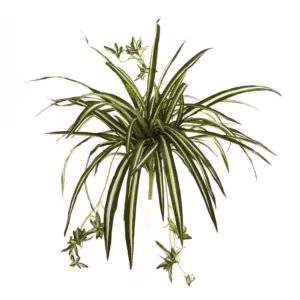 Nearly Natural 23 in. Spider Plant Bush (Set of 4)