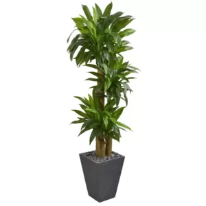 Nearly Natural Real Touch 5.5 ft. Indoor Cornstalk Dracaena Artificial Plant in Slate Planter