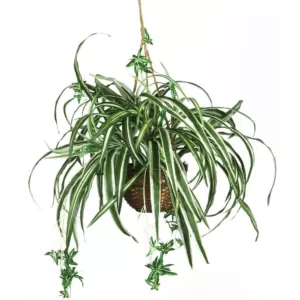 Nearly Natural 27 in. Silk Spider Plant Hanging Basket