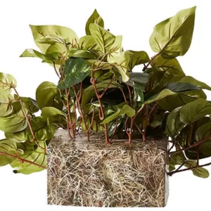 Nearly Natural Indoor 15in. H Green Pothos Ledge Plant (Set on Foam) Silk Plant