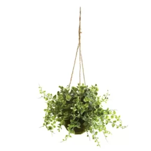 Nearly Natural Eucalyptus, Maiden Hair and Berry Hanging Basket (Set of 3)
