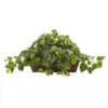 Nearly Natural 15 in. Pothos with Ledge Basket