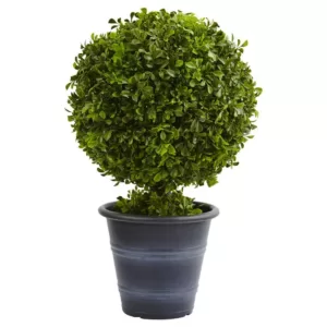 Nearly Natural 23 in. Boxwood Ball Topiary