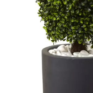 Nearly Natural 50 in. Boxwood Topiary with Gray Cylindrical Planter UV Resistant (Indoor/Outdoor)