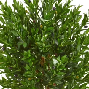 Nearly Natural 58 in. Indoor/Outdoor Olive Topiary Artificial Tree