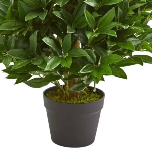 Nearly Natural 3 ft. Indoor/Outdoor Bay Leaf Artificial Topiary Tree