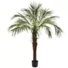 Nearly Natural 6 ft. Robellini Palm Tree