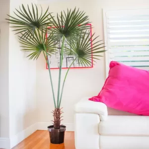 Nearly Natural 7 ft. UV Resistant Indoor/Outdoor Fan Palm Tree