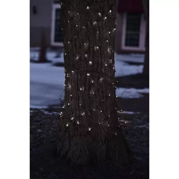 Northlight 2 ft. x 8 ft. Pure White LED Net Style Tree Trunk Wrap Christmas Lights with Brown Wire