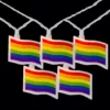 Northlight 7.5 ft. 10-Light Clear Pride Flag Novelty Incandescent String Lights with White Wire