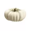 Northlight 8 in. White Flat Round Pumpkin Fall Harvest Table Top Decoration