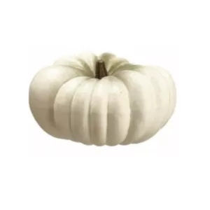 Northlight 8 in. White Flat Round Pumpkin Fall Harvest Table Top Decoration