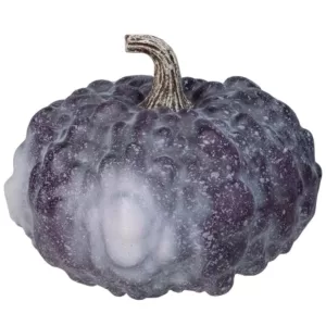 Northlight 6 in. Purple and White Textured Pumpkin Fall Harvest Table Top Decoration