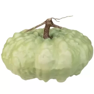 Northlight 6.5 in. Green Textured Pumpkin Fall Harvest Table Top Decoration